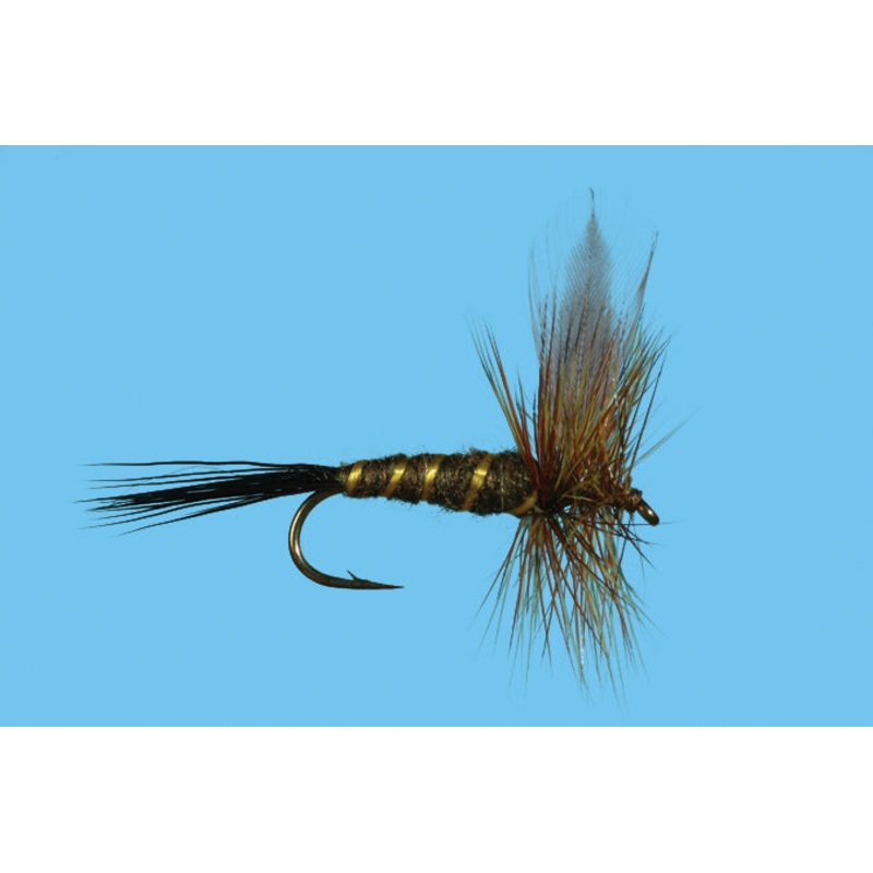 SOLI GREEN DRAKE      12