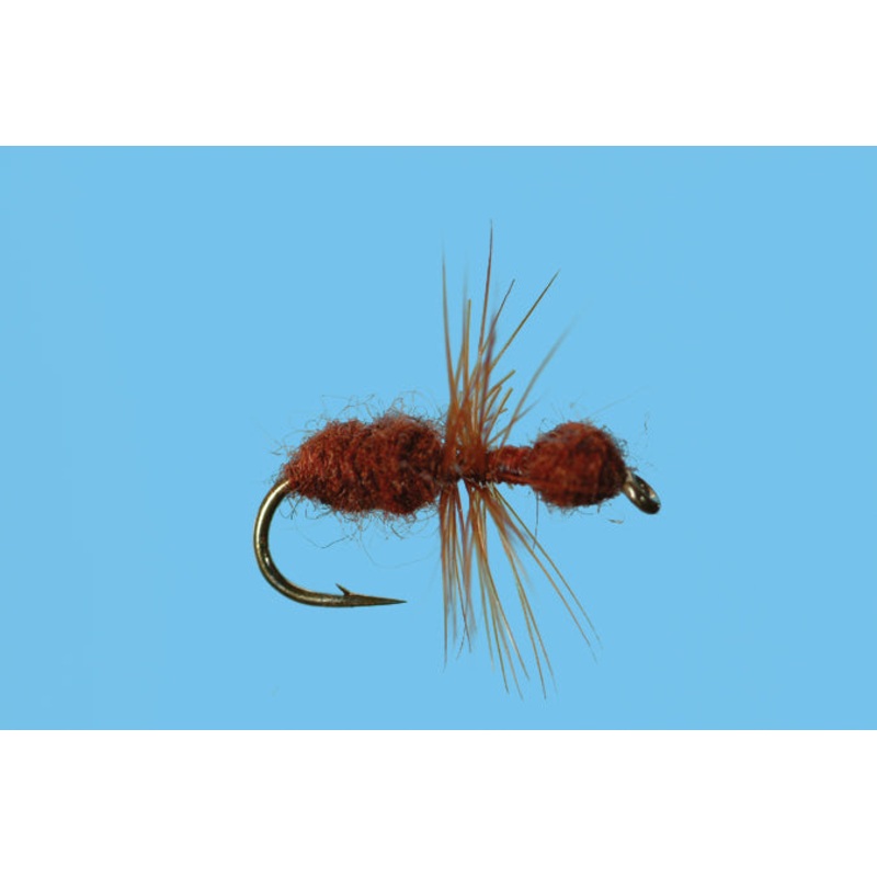Solitude Fly Co Ant