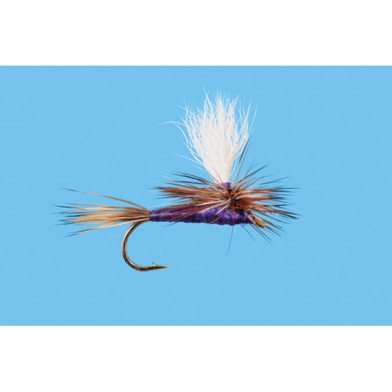 Solitude Fly Co Parachute Purple Adams
