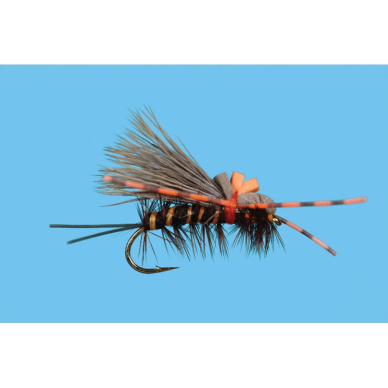 Solitude Fly Co Rolling Stone