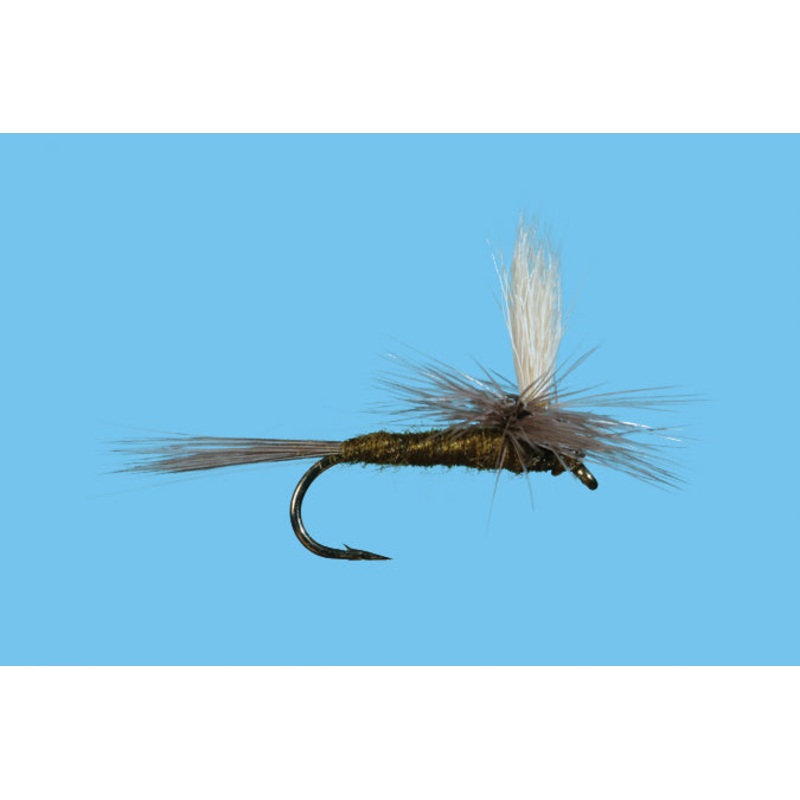 Solitude Parachute