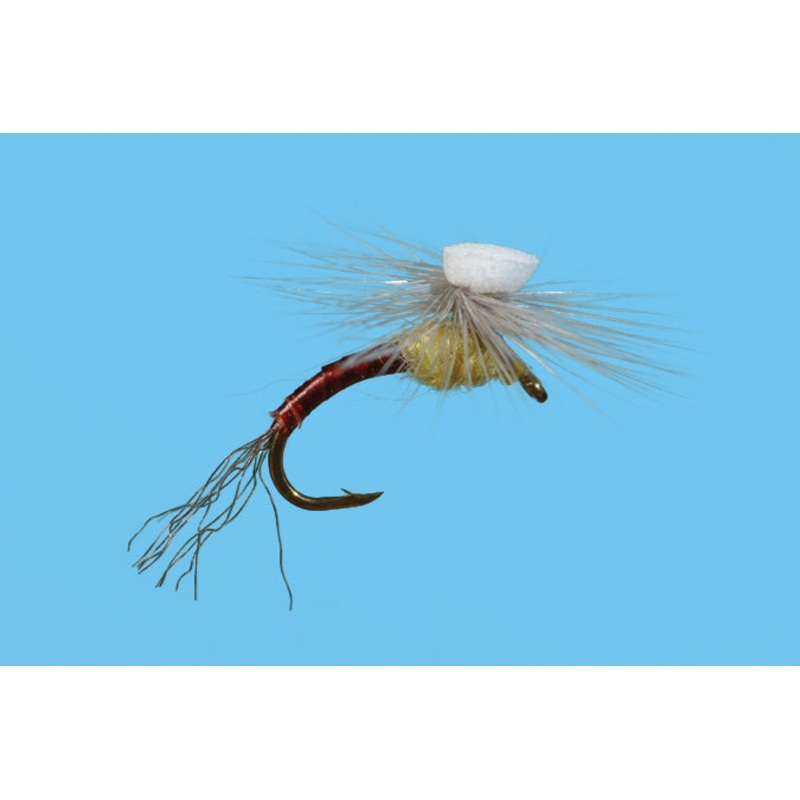 Solitude Brooks Sprout PMD