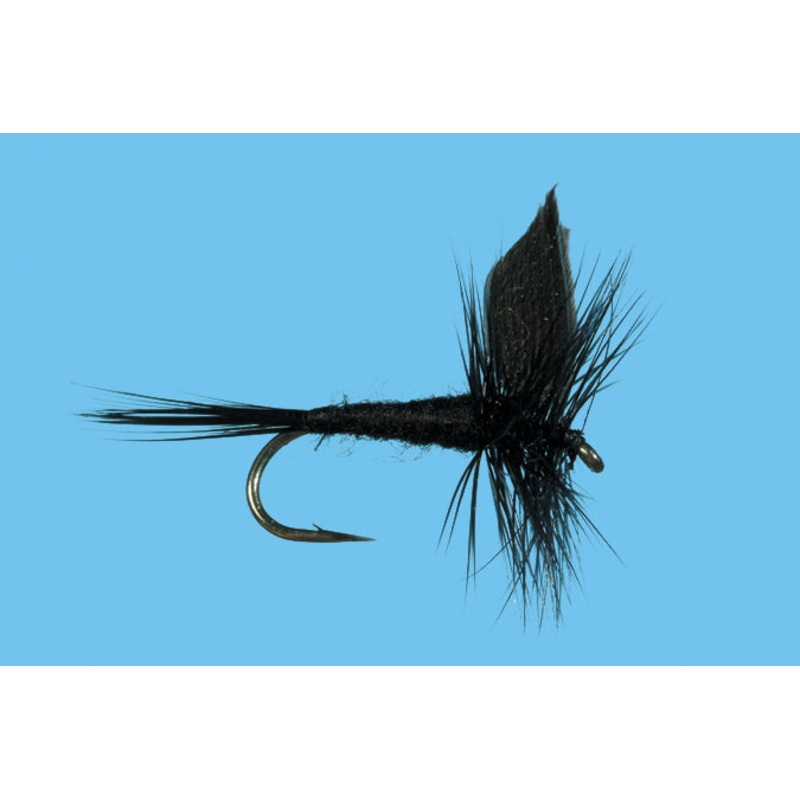 Solitude Black Gnat