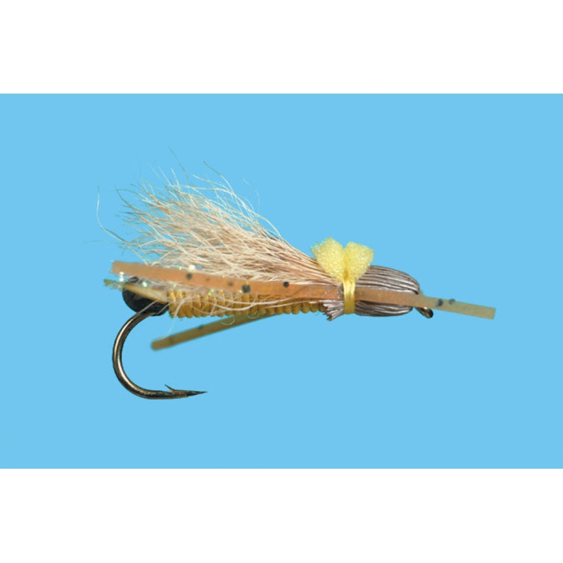 Solitude Bullet Head Golden Stone