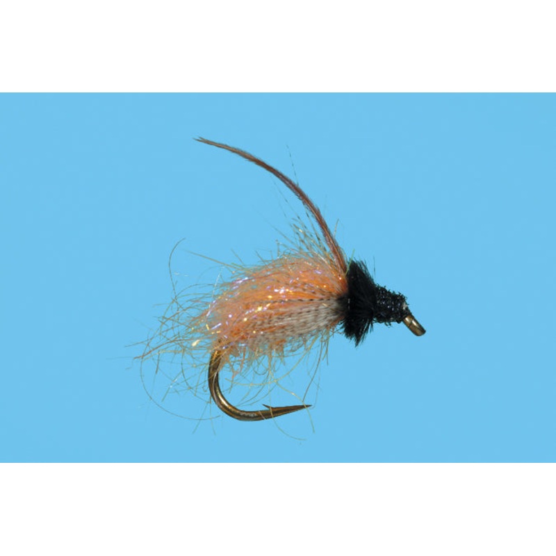 Solitude Caddis October